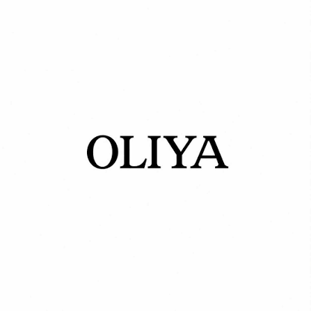 OLIYA 511 Ladies Watch – Silver Stainless Steel | 31mm Quartz Watch